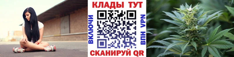 Купить наркотик Егорьевск OMG ССЫЛКА  Alpha PVP  ГАШИШ  Каннабис  Меф мяу мяу  Cocaine 