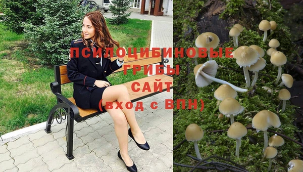 синтетический гашиш Алексеевка