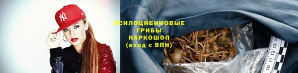 а пвп мука Абаза