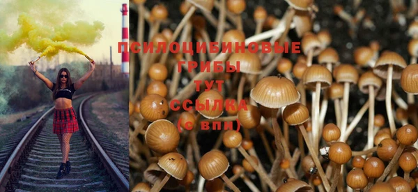 каннабис Алзамай