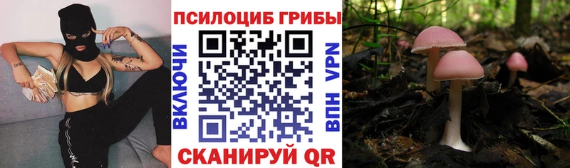 Псилоцибиновые грибы GOLDEN TEACHER  Егорьевск 