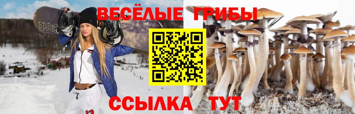 Галлюциногенные грибы GOLDEN TEACHER  Вход с VPN  Егорьевск 
