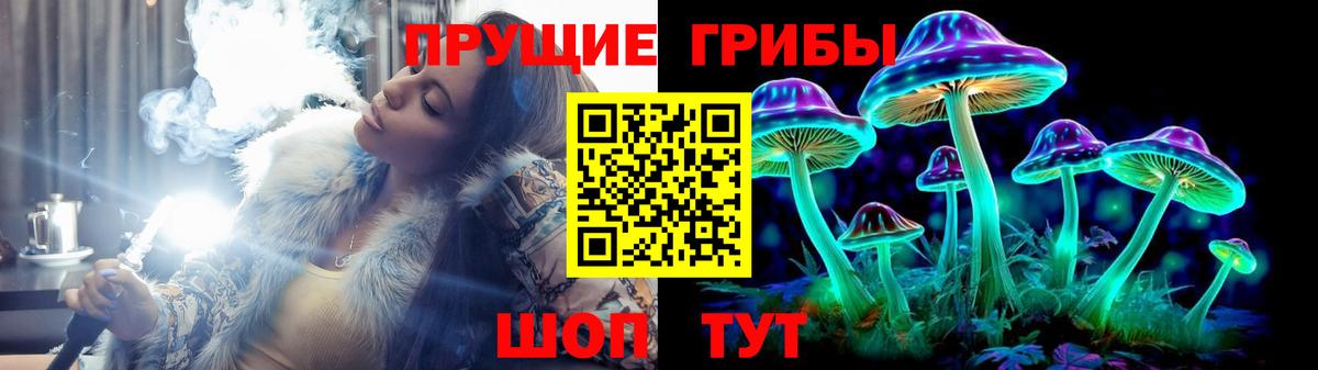 Галлюциногенные грибы GOLDEN TEACHER Егорьевск